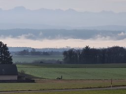 Schlussbummel_2022