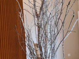 Schlussbummel_2022