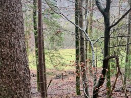 Schlussbummel_2022