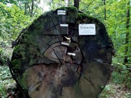 SeptemberWanderung