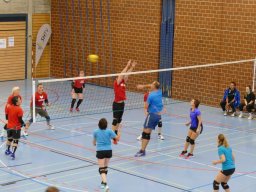 Volleyball_Hallenspieltag_2021
