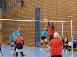 Volleyball_Hallenspieltag_2021