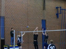 Volleyball_Hallenspieltag_2021