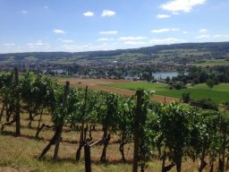 Wanderung_05.08.2020