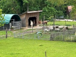 Wanderung_mai_2025