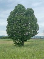 Wanderung_mai_2025