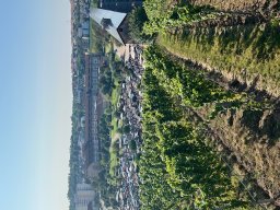 turnfahrt_2024